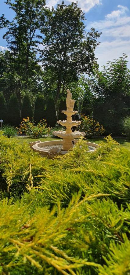 Villa Carmen Kudowa-Zdrój Exteriör bild
