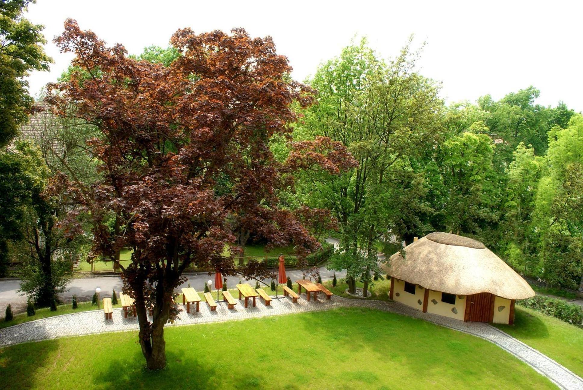 Villa Carmen Kudowa-Zdrój Exteriör bild